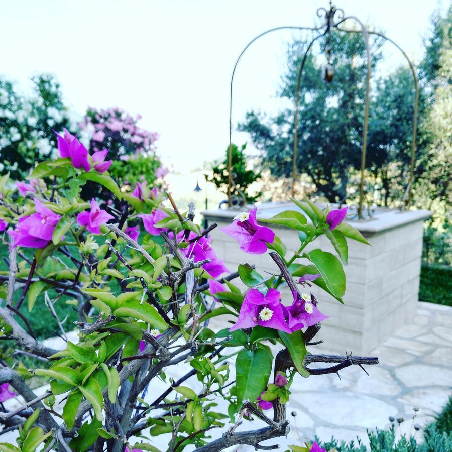 B&B Le Dive Ostra Zewnętrze zdjęcie